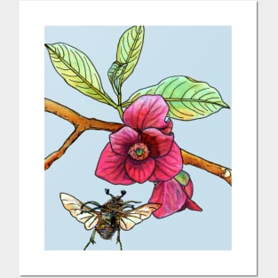 Pawpaw and Bumble Beetle Posters and Art